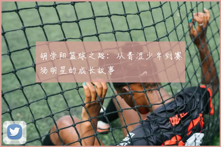 胡崇阳篮球之路：从青涩少年到赛场明星的成长故事